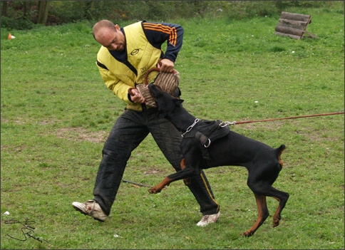 Training in Prague 10/2007